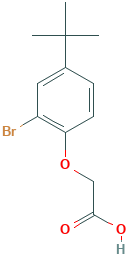 2-(2-溴-4-(叔丁基)苯氧基)乙酸