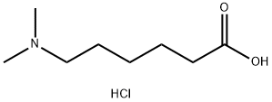 6-(dimethylamino)hexanoic acid