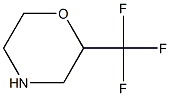 2-TrifluoroMethylMorpholine