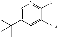 5-TERT-BUTYL-2-CHLOROPYRIDIN-3-AMINE