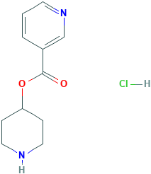4-Piperidinyl nicotinate hydrochloride