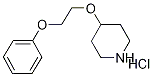4-(2-Phenoxyethoxy)piperidine hydrochloride