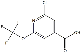 2-chloro-6-(trifluoroMethoxy)isonicotinic acid
