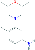 3-(2,6-dimethylmorpholino)-4-methylaniline