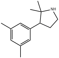 3-(3,5-dimethylphenyl)-2,2-dimethylpyrrolidine