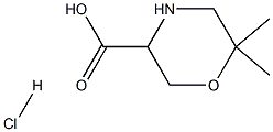 6,6-Dimethyl-morpholine-3-carboxylic acid hydrochloride
