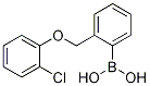 (2-((2-Chlorophenoxy)Methyl)phenyl)boronic acid