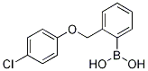 [2-(4-chlorophenoxyMethyl)phenyl]boronic acid