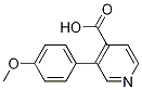 3-(4-甲氧基苯基)异烟酸
