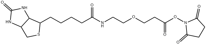 生物素-一聚乙二醇-琥珀酰亚胺酯