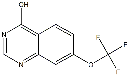 4-羟基-7-(三氟甲氧基)喹唑啉