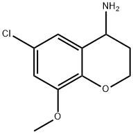 6-CHLORO-8-METHOXY-3,4-DIHYDRO-2H-1-BENZOPYRAN-4-AMINE