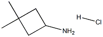 3,3-dimethylcyclobutan-1-amine hydrochloride