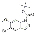 1-Boc-5-broMo-6-Methoxy-1H-indazole