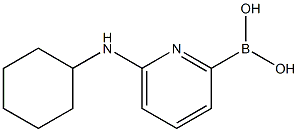 6-(CYCLOHEXYLAMINO)PYRIDINE-2-BORONIC ACID