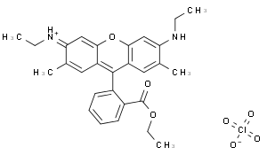 XANTHYLIUM, 9-[2-(ETHOXYCARBONYL)PHENYL]-3,6-BIS(ETHYLAMINO)-2,7-DIMETHYL-, PERCHLORATE