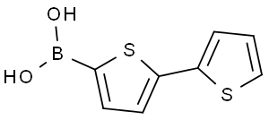 (5-thiophen-2-yl-2-thiophenyl)boronic acid