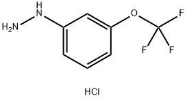3-Trifluoromethoxy-phenylhydrazine hydrochloride