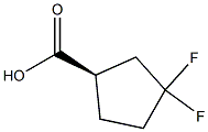 (1R)-3,3-difluorocyclopentane-1-carboxylic acid