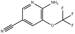 6-AMINO-5-(TRIFLUOROMETHOXY)PYRIDINE-3-CARBONITRILE