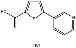 5-(pyridin-3-yl)thiophene-2-carboxylic acid hydrochloride