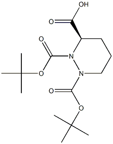 (R)-Tetrahydropyridazine-1,2,3-tricarboxylic acid 1,2-di-tert-butylester