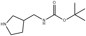 叔-丁基 N-(吡咯烷-3-基甲基)氨基甲酯