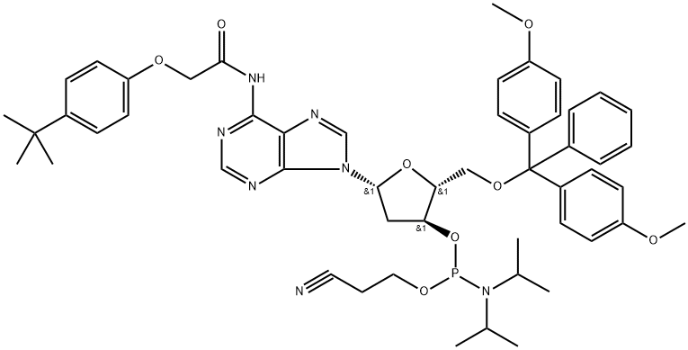 DMT-dA(tac)酰胺
