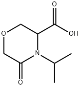 5-oxo-4-(propan-2-yl)morpholine-3-carboxylic acid