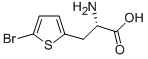 (S)-2-AMino-3-(5-broMothiophen-2-yl)propanoic acid