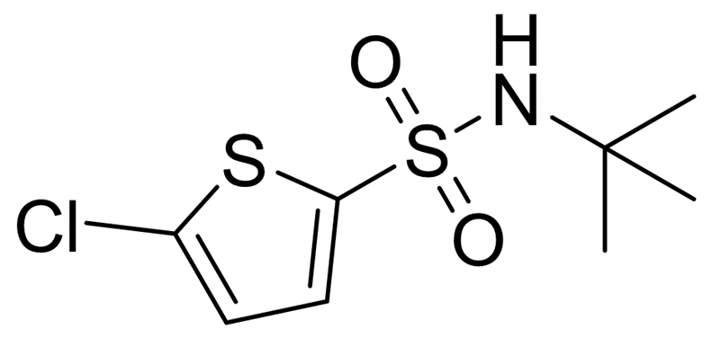 N-(tert-Butyl)-5-chlorothiophene-2-sulfonamide