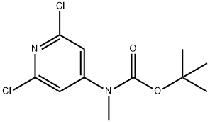 Carbamic acid, N-(2,6-dichloro-4-pyridinyl)-N-methyl-, 1,1-dimethylethyl ester