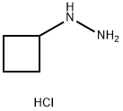 1-Cyclobutyl-hydrazine HCl