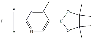 2-(trifluoroMethyl)-4-Methyl-5-(4,4,5,5-tetraMethyl-1,3,2-dioxaborolan-2-yl)pyridine