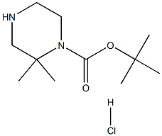 2,2-二甲基哌嗪-1-羧酸叔丁基盐酸盐