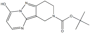 tert-Butyl 4-hydroxy-7,8-dihydropyrido[4',3':3,4]pyrazolo[1,5-a]pyriMidine-9(10H)-carboxylate