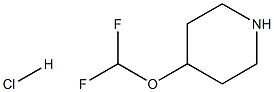4-(二氟甲氧基)哌啶盐酸