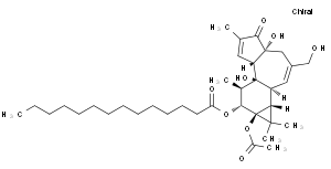 佛波醇12-十四酸酯13-乙酸酯