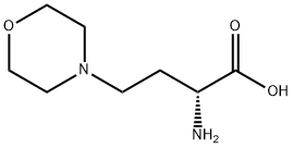 (R)-2-amino-4-morpholinobutanoic acid
