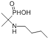 [1-(butylamino)-1-methylethyl](hydroxy)oxophosphonium