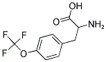 2-AMINO-3-(4-TRIFLUOROMETHOXY-PHENYL)-PROPIONIC ACID