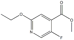 Methyl 2-ethoxy-5-fluoroisonicotinate