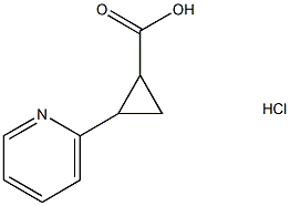 2-(PYRIDIN-2-YL)CYCLOPROPANE-1-CARBOXYLIC ACID HYDROCHLORIDE