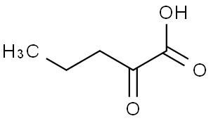 2-oxo-n-valeric acid