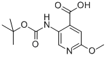 5-(叔丁氧基羰基氨基)-2-甲氧基吡啶-4-羧酸