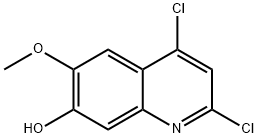 2,4-二氯-6-甲氧基喹啉-7-醇
