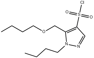 5-(butoxymethyl)-1-butyl-1H-pyrazole-4-sulfonyl chloride