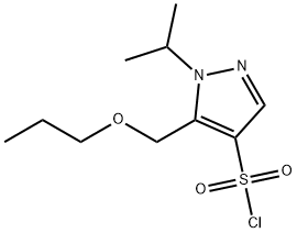 1-isopropyl-5-(propoxymethyl)-1H-pyrazole-4-sulfonyl chloride
