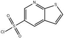 thieno[2,3-b]pyridine-5-sulfonyl chloride