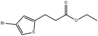 ethyl 3-(4-bromothiophen-2-yl)propanoate